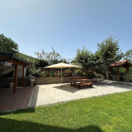 Apartmani Stanisic Čanj Εξωτερικό φωτογραφία